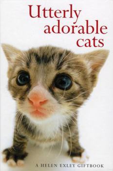Hardcover Utterly Adorable Cats Book