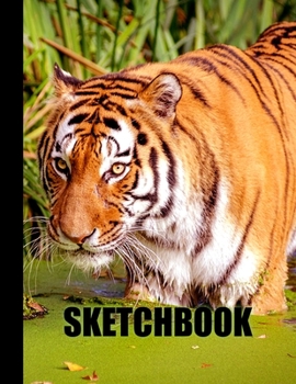 Sketchbook: Tiger Cover Design - White Paper - 120 Blank Unlined Pages - 8.5" X 11" - Matte Finished Soft Cover