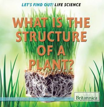 Paperback What Is the Structure of a Plant? Book