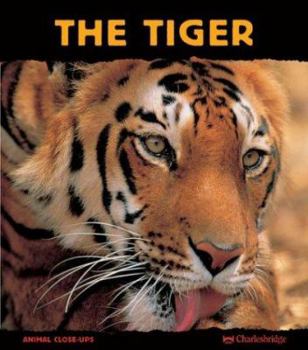 The Tiger: Ferocious Feline (Animal Close-Ups) (Animal Close-Ups) - Book  of the Animal Close-Ups