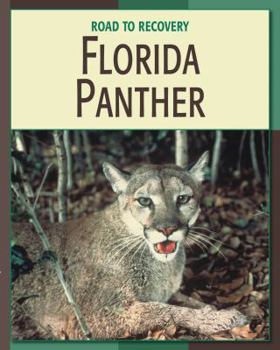 Library Binding Florida Panther Book