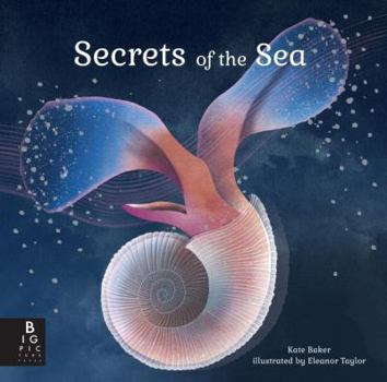 Hardcover Secrets of the Sea Book