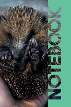 Notebook: Hoglet Useful Composition Book for Researching Hedgehog Cage