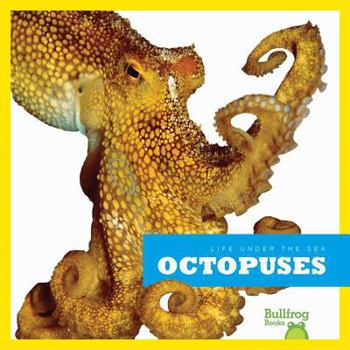 Octopuses - Book  of the Life Under the Sea