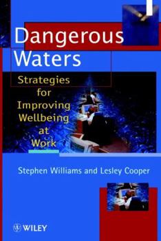 Paperback Dangerous Waters: Strategies for Improving Wellbeing at Work Book