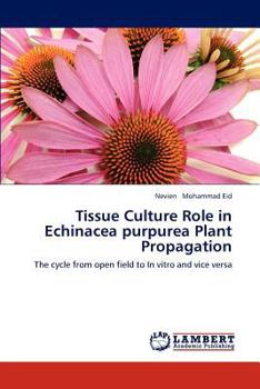 Tissue Culture Role in Echinacea purpurea Plant Propagation: The cycle from open field to In vitro and vice versa