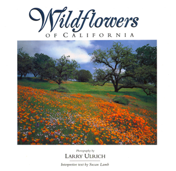 Paperback Wildflowers of California Book