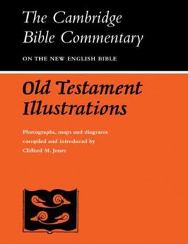 Paperback Old Testament Illustrations Book