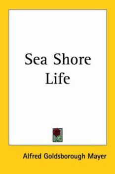 Paperback Sea Shore Life Book