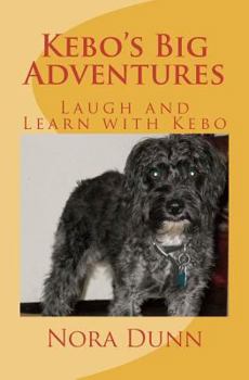 Paperback Kebo's Big Adventures: Life is What You Make It Book