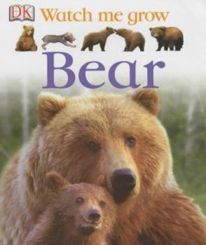 Hardcover Bear Book