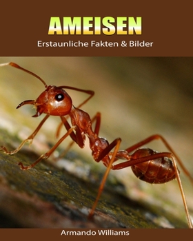 Paperback Ameisen: Erstaunliche Fakten & Bilder [German] Book