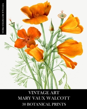 Paperback Vintage Art: Mary Vaux Walcott 30 Botanical Prints Book