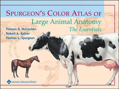 Paperback Spurgeon's Color Atlas of Large Animal Anatomy: The Essentials Book