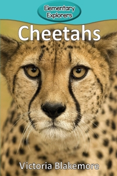 Paperback Cheetahs Book