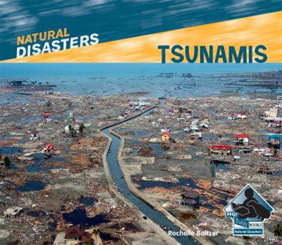 Tsunamis - Book  of the Natural Disasters