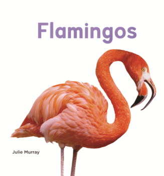 Library Binding Flamingos Book