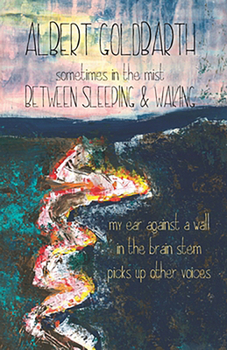 Paperback Sleeping and Waking Book