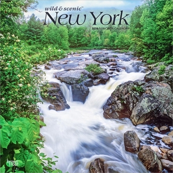 New York Wild & Scenic 2026 12 X 24 Inch (Hanging) Monthly Square Wall Calendar Plastic-Free