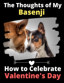 The Thoughts of My Basenji: How to Celebrate Valentine's Day