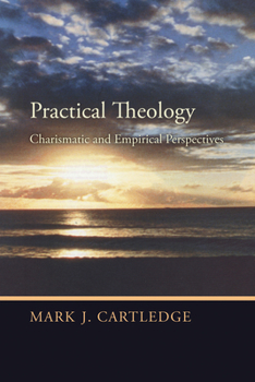 Paperback Practical Theology Book