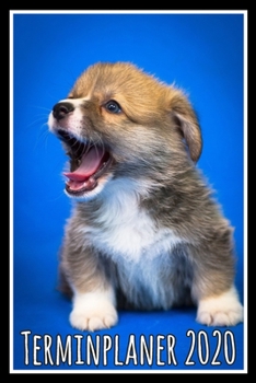 Terminplaner 2020: Jahresplaner von September 2019 bis Dezember 2020 mit Hund - Planer mit 174 Seiten in weiß im Format A5 mit glänzendem Soft Cover. (German Edition)