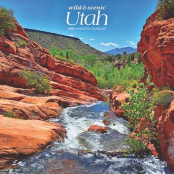 Calendar Utah Wild & Scenic 2025 12 X 24 Inch Monthly Square Wall Calendar Plastic-Free Book