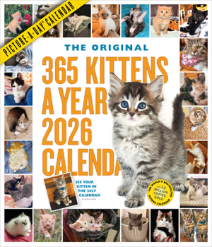 365 Kittens-A-Year Picture-A-Day(r) Wall Calendar 2026