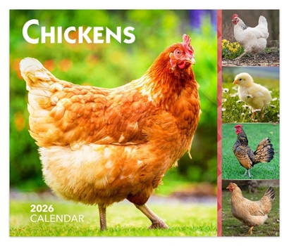 Chickens 2026 6 X 5 Inch Daily Desktop Box Calendar New Page Every Day