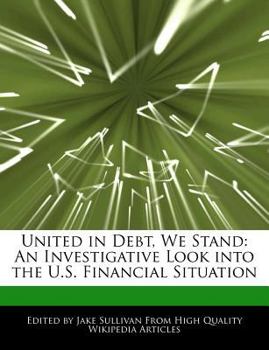 United in Debt, We Stand : An Investigative Look into the U. S. Financial Situation