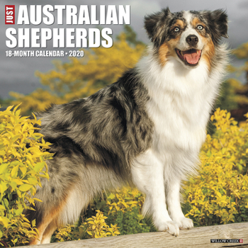 Calendar Just Australian Shepherds 2020 Wall Calendar (Dog Breed Calendar) Book