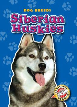 Paperback Siberian Huskies Book