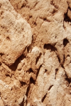 2020 Daily Planner Natural Earth Design 388 Pages : 2020 Planners Calendars Organizers Datebooks Appointment Books Agendas