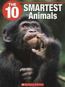 Paperback The 10 Smartest Animals Book