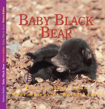 Baby Black Bear - Book  of the Nature Babies