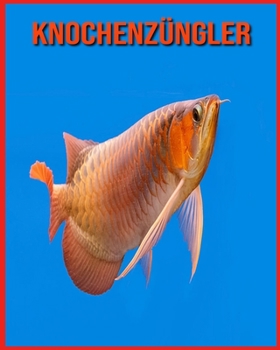 Knochenz?ngler: Erstaunliche Bilder und Fakten ?ber Knochenz?ngler