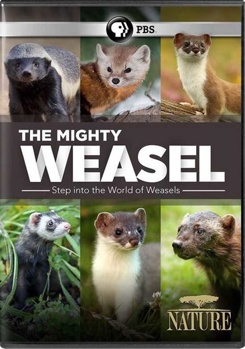 DVD Nature: Mighty Weasel Book