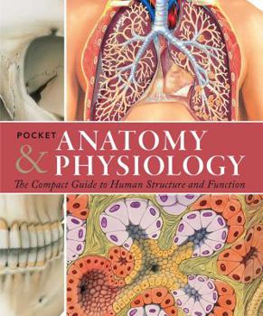 Paperback Pocket Anatomy & Physiology: The Compact Guide to the Human Body and How It Works Book