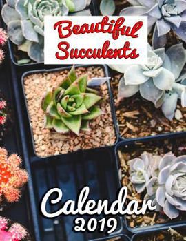 Beautiful Succulents Calendar 2019: Full-Color Portrait-Style Desk Calendar