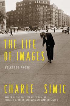 Paperback The Life of Images Book