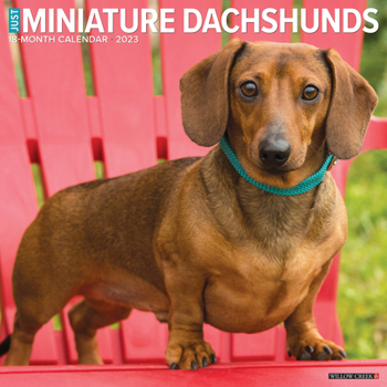 Calendar Just Mini Pinschers 2023 Wall Calendar Book