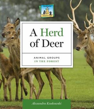 A Herd of Deer: Animal Groups in the Forest - Book  of the Animal groups