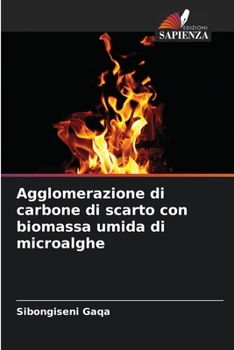 Paperback Agglomerazione di carbone di scarto con biomassa umida di microalghe [Italian] Book