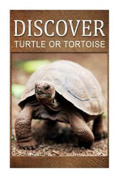 Paperback Turtle Or Tortoise - Discover: Early reader's wildlife photography book