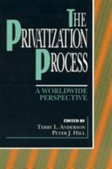 Paperback The Privatization Process: A Worldwide Perspective Book
