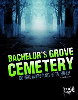 Library Binding Bachelor's Grove Cemetery and Other Haunted Places of the Midwest Book