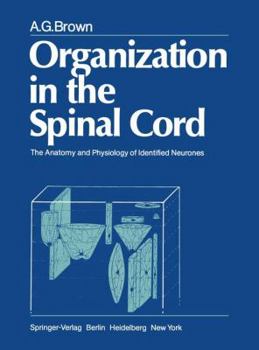 Paperback Organization in the Spinal Cord: The Anatomy and Physiology of Identified Neurones Book