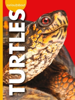 Curious about Turtles - Book  of the Curious About