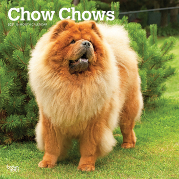 Calendar Chow Chows 2021 Square Book