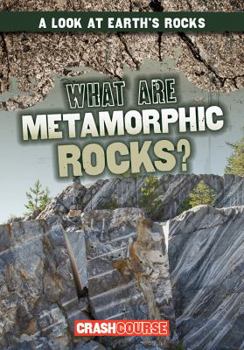 Paperback What Are Metamorphic Rocks? Book